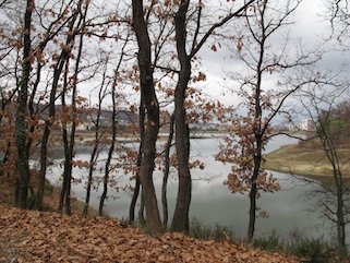 Tirana Lake. Through the looking forest
